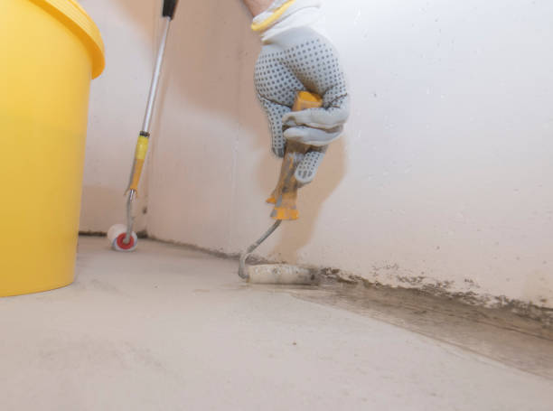 Best Pest Prevention Services  in Marietta, OK